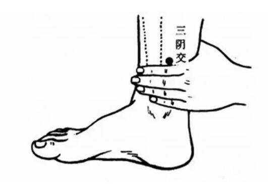 中醫(yī)推拿養(yǎng)生保健穴位都有哪些？