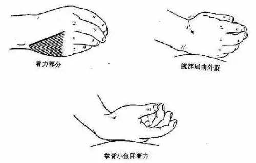 重慶催乳師培訓哪家好？