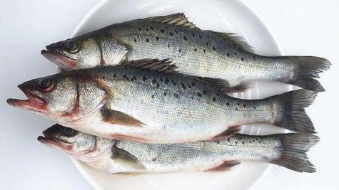 中醫(yī)培訓(xùn)學(xué)校推薦適合快速減肥的十大食物