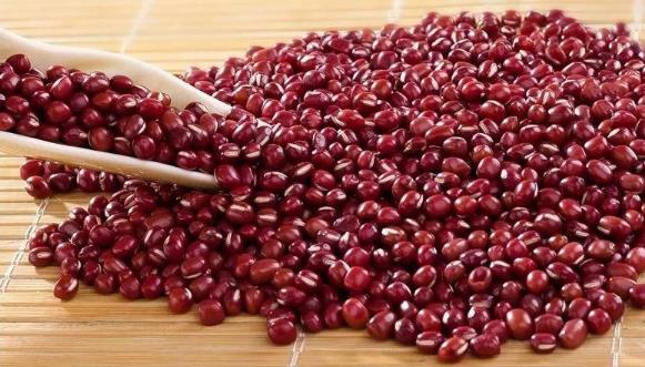 中醫(yī)培訓(xùn)學(xué)校推薦適合快速減肥的十大食物