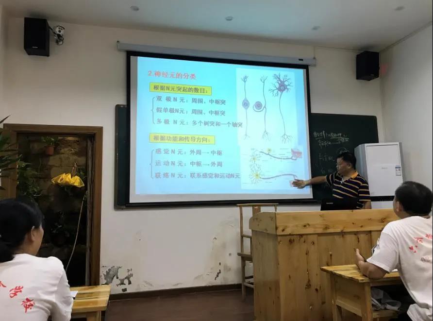白領們！要如何午睡才更健康呢？