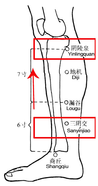 久坐導致脾虛濕氣重，堅持推推小腿這條線可改善